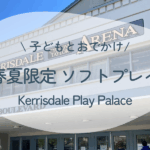 Kerrisdale Play Palace外観