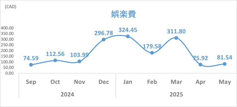 202505娯楽費トレンドグラフ