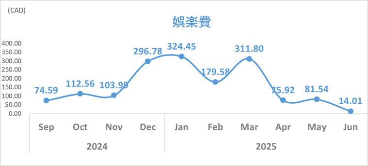 2025年6月娯楽費トレンド