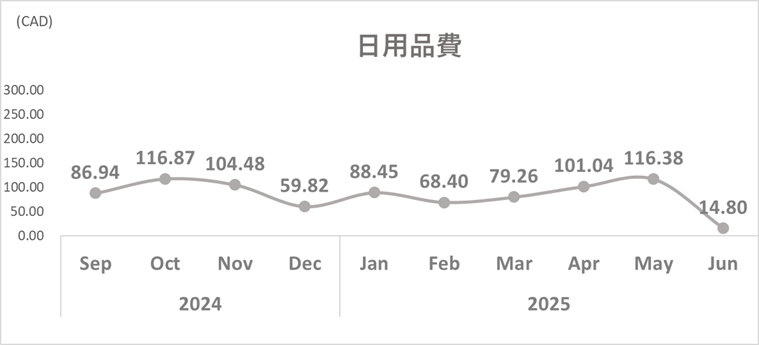 2025年6月日用品費トレンド