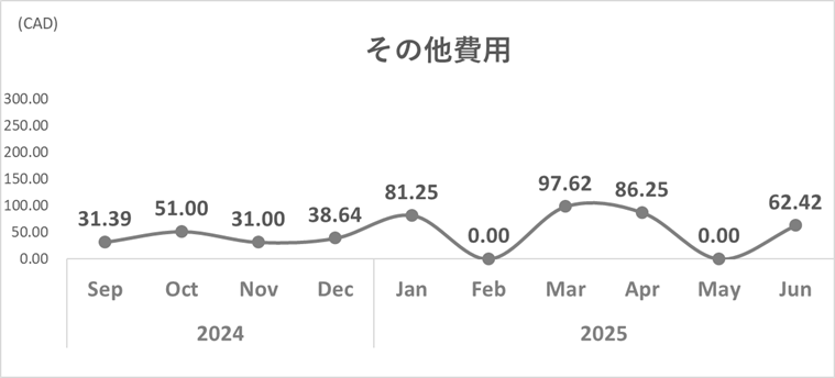 2025年6月その他費用トレンド
