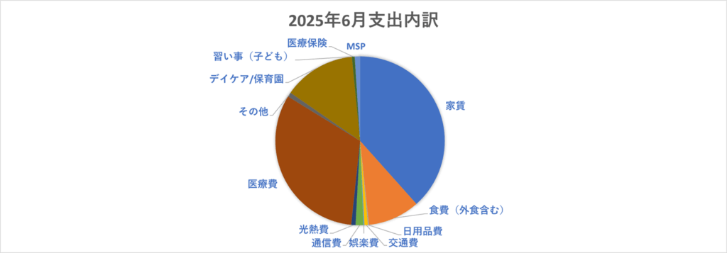 2025年6月支出円グラフ