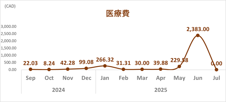 トレンドグラフ_医療費