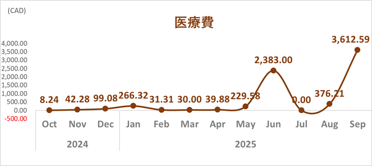 家計簿トレンド_2025年9月_医療費
