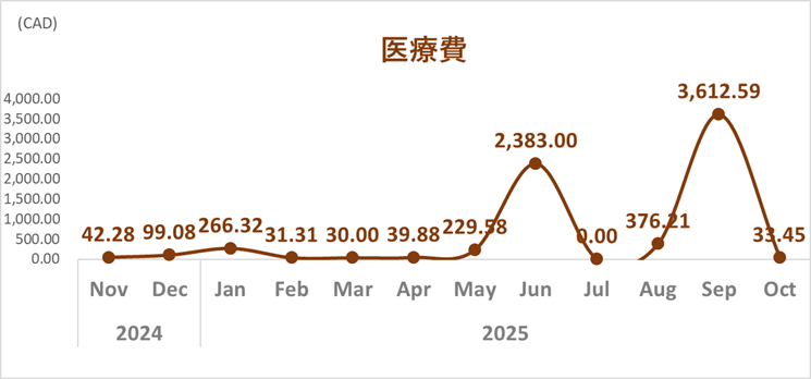 家計簿トレンド_2025年10月_医療費