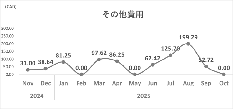 家計簿トレンド_2025年10月_その他費用